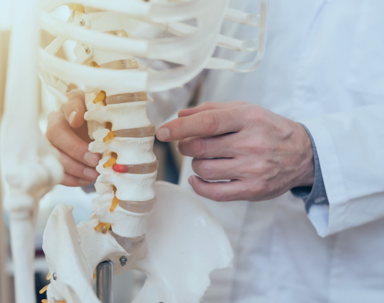 doctor pointing at spine